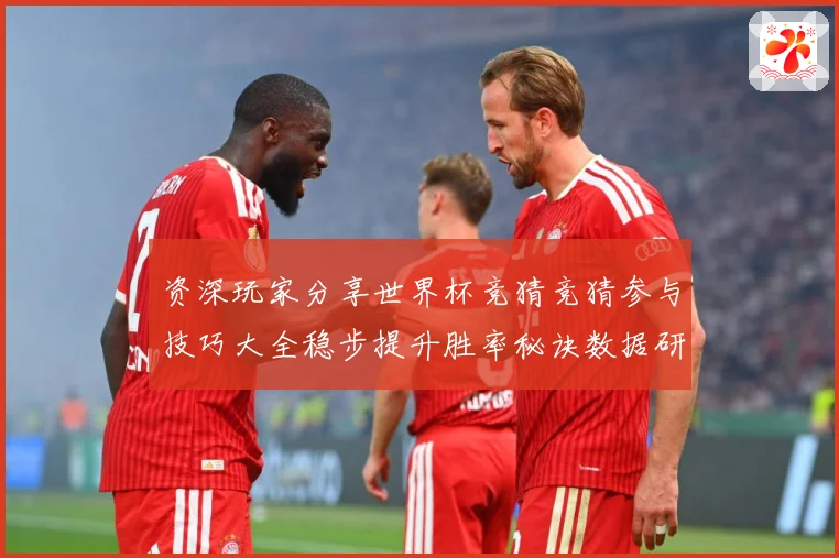 资深玩家分享世界杯竞猜竞猜参与技巧大全稳步提升胜率秘诀数据研判