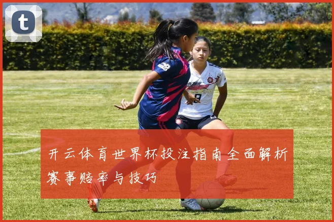 开云体育世界杯投注指南全面解析赛事赔率与技巧