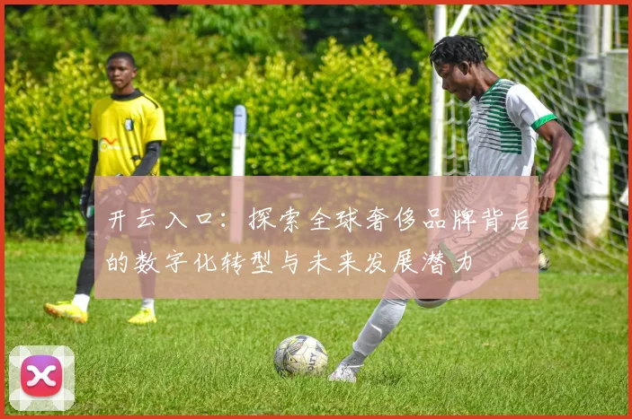 开云入口：探索全球奢侈品牌背后的数字化转型与未来发展潜力