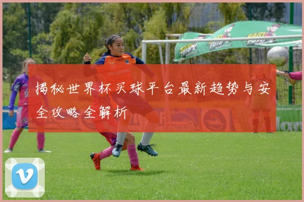揭秘世界杯买球平台最新趋势与安全攻略全解析